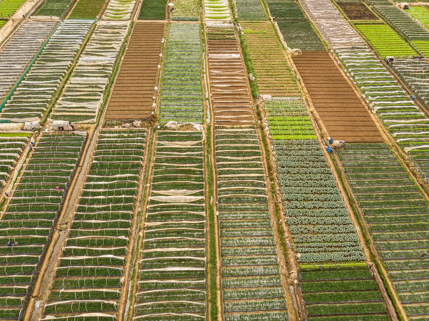Microaspersão para Horta
